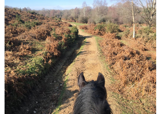 Voucher Template 11722