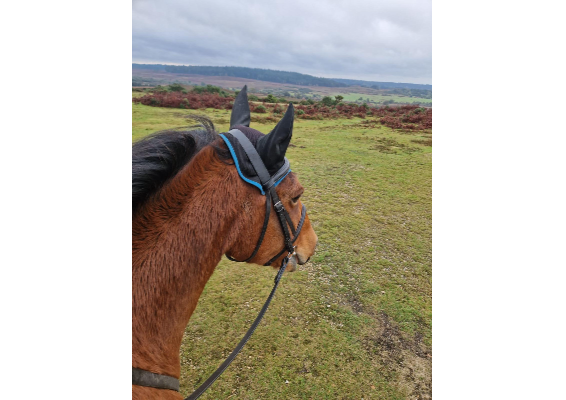 Voucher Template 11723